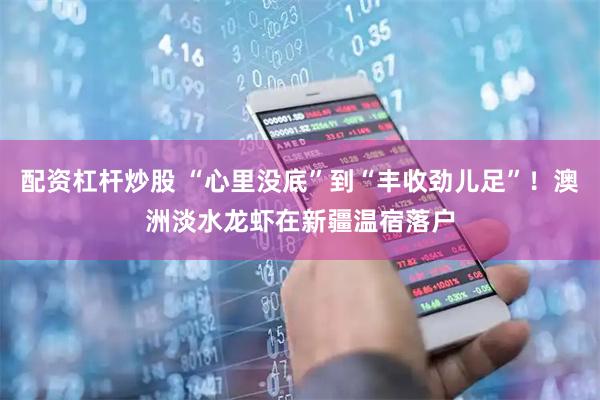 配资杠杆炒股 “心里没底”到“丰收劲儿足”！澳洲淡水龙虾在新疆温宿落户