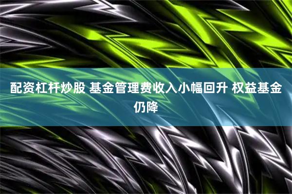 配资杠杆炒股 基金管理费收入小幅回升 权益基金仍降