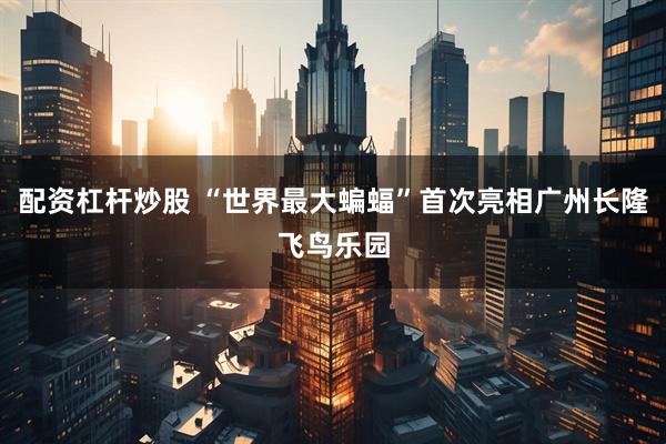 配资杠杆炒股 “世界最大蝙蝠”首次亮相广州长隆飞鸟乐园