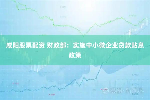 咸阳股票配资 财政部：实施中小微企业贷款贴息政策